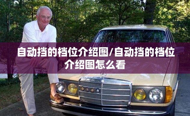 自动挡的档位介绍图/自动挡的档位介绍图怎么看 自动挡的档位介绍图/自动挡的档位介绍图怎么看