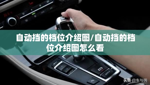 自动挡的档位介绍图/自动挡的档位介绍图怎么看 自动挡的档位介绍图/自动挡的档位介绍图怎么看