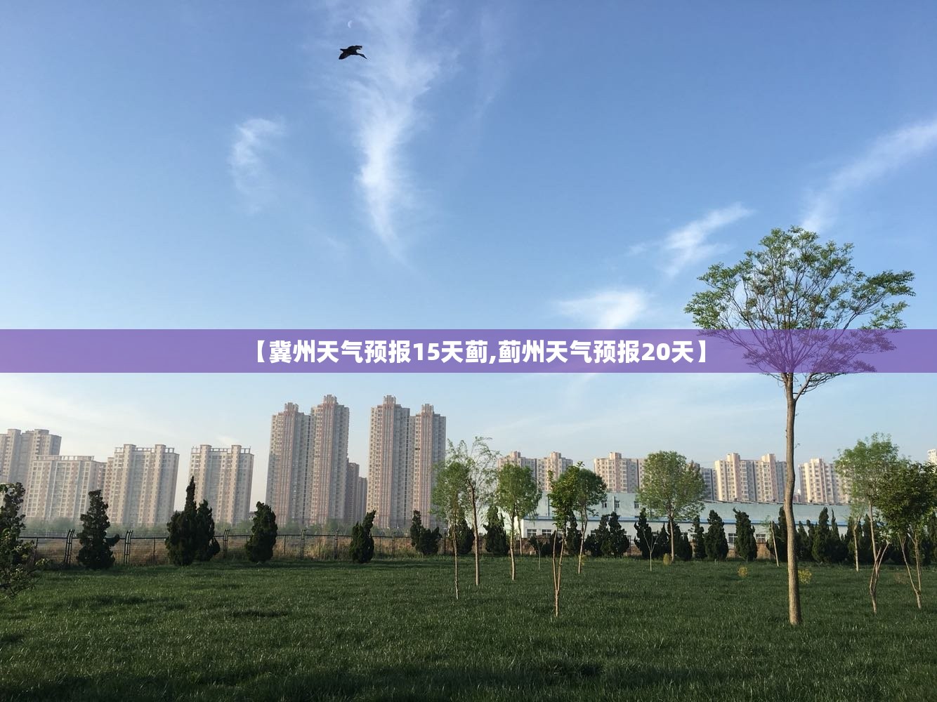 【冀州天气预报15天蓟,蓟州天气预报20天】 【冀州天气预报15天蓟,蓟州天气预报20天】