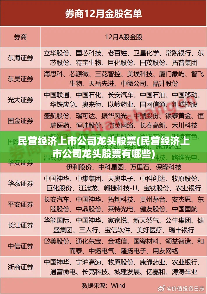 民营经济上市公司龙头股票(民营经济上市公司龙头股票有哪些) 民营经济上市公司龙头股票(民营经济上市公司龙头股票有哪些)