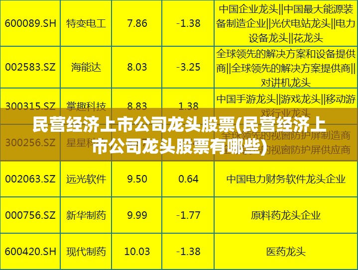 民营经济上市公司龙头股票(民营经济上市公司龙头股票有哪些) 民营经济上市公司龙头股票(民营经济上市公司龙头股票有哪些)
