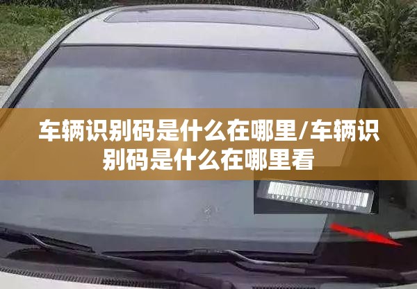 车辆识别码是什么在哪里/车辆识别码是什么在哪里看