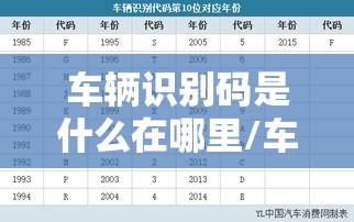 车辆识别码是什么在哪里/车辆识别码是什么在哪里看