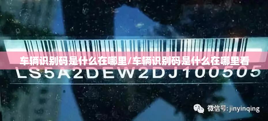 车辆识别码是什么在哪里/车辆识别码是什么在哪里看
