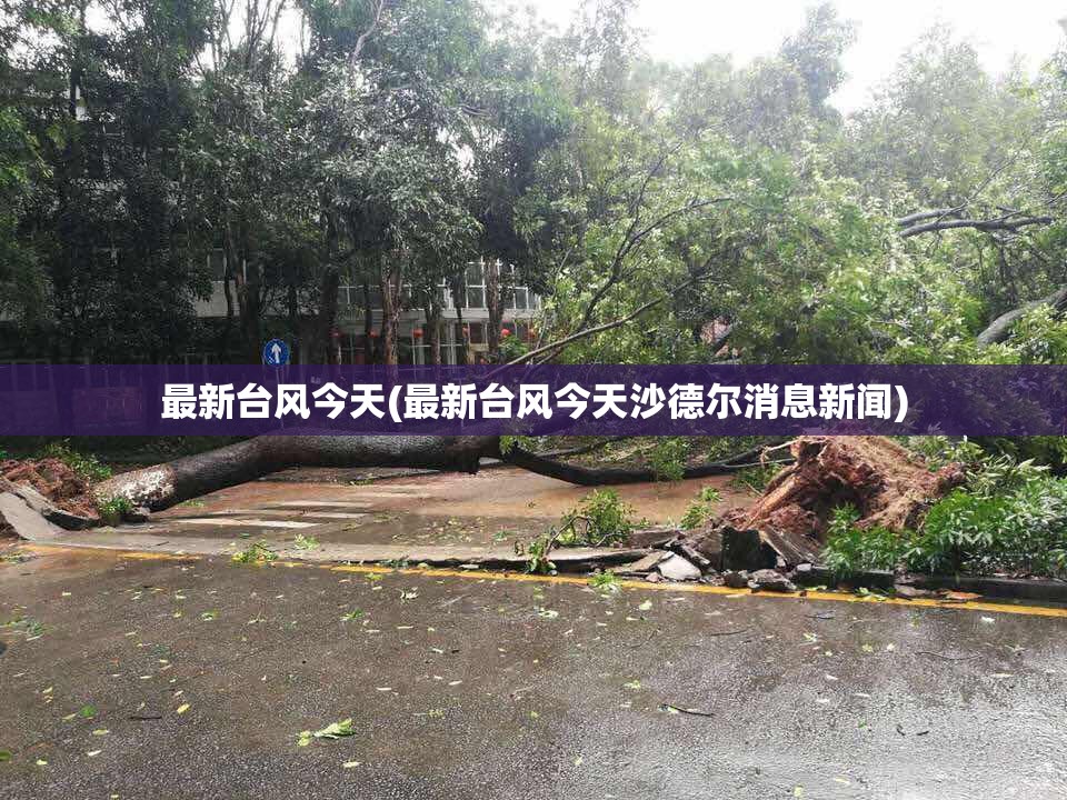 最新台风今天(最新台风今天沙德尔消息新闻) 最新台风今天(最新台风今天沙德尔消息新闻)
