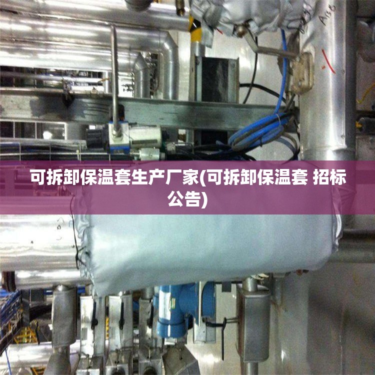 可拆卸保温套生产厂家(可拆卸保温套 招标公告) 可拆卸保温套生产厂家(可拆卸保温套 招标公告)