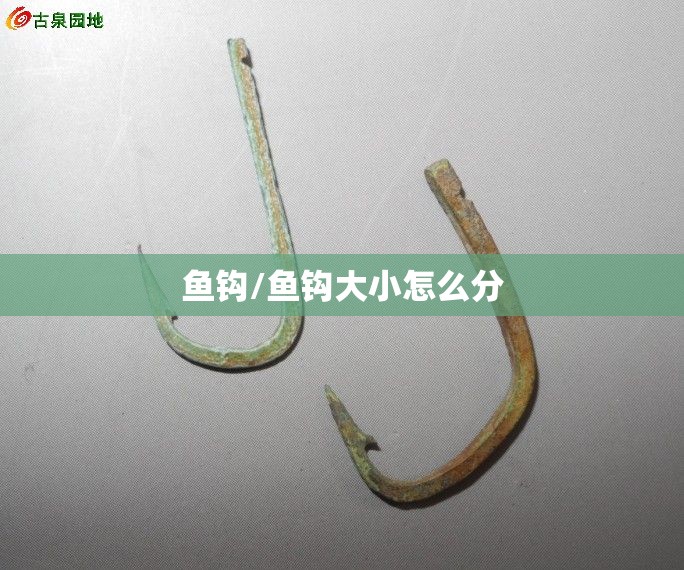 鱼钩/鱼钩大小怎么分 鱼钩/鱼钩大小怎么分
