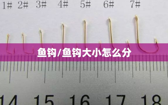 鱼钩/鱼钩大小怎么分 鱼钩/鱼钩大小怎么分