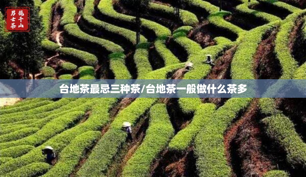 台地茶最忌三种茶/台地茶一般做什么茶多 台地茶最忌三种茶/台地茶一般做什么茶多