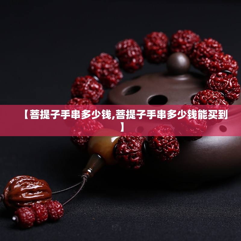 【菩提子手串多少钱,菩提子手串多少钱能买到】 【菩提子手串多少钱,菩提子手串多少钱能买到】