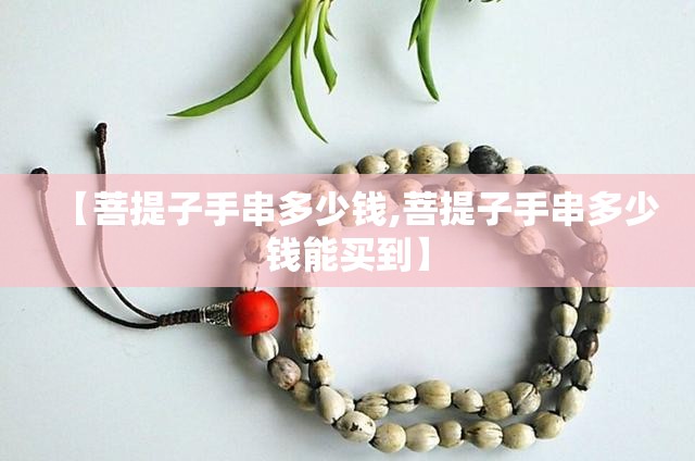 【菩提子手串多少钱,菩提子手串多少钱能买到】 【菩提子手串多少钱,菩提子手串多少钱能买到】