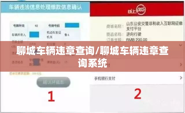 聊城车辆违章查询/聊城车辆违章查询系统 聊城车辆违章查询/聊城车辆违章查询系统