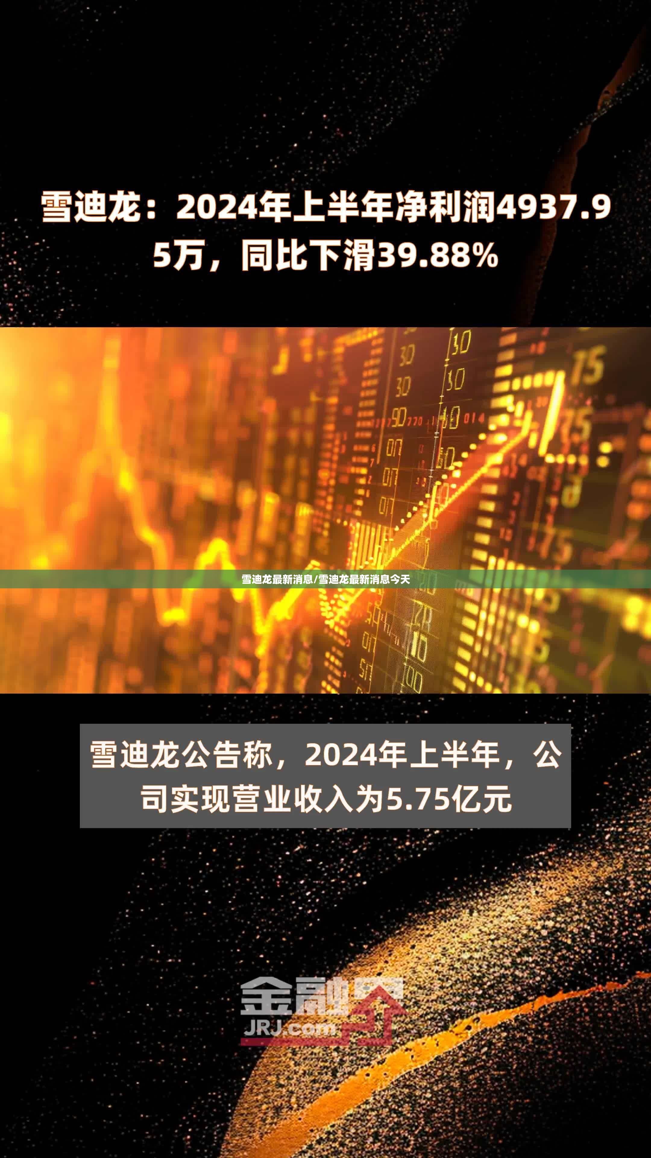 雪迪龙最新消息/雪迪龙最新消息今天 雪迪龙最新消息/雪迪龙最新消息今天
