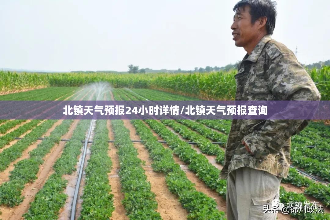 北镇天气预报24小时详情/北镇天气预报查询 北镇天气预报24小时详情/北镇天气预报查询