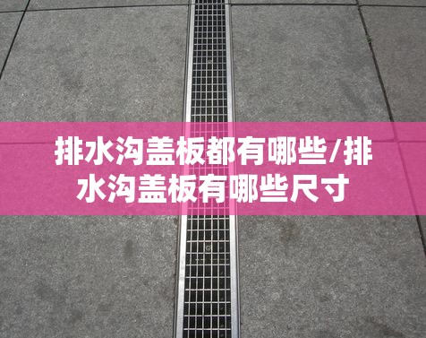 排水沟盖板都有哪些/排水沟盖板有哪些尺寸 排水沟盖板都有哪些/排水沟盖板有哪些尺寸