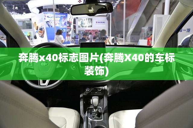 奔腾x40标志图片(奔腾X40的车标装饰) 奔腾x40标志图片(奔腾X40的车标装饰)