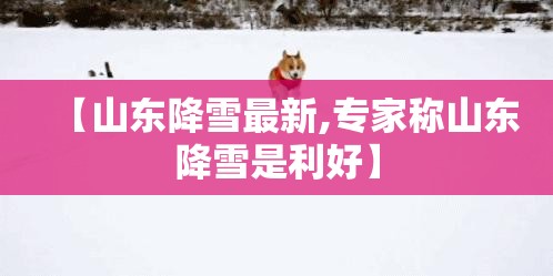 【山东降雪最新,专家称山东降雪是利好】 【山东降雪最新,专家称山东降雪是利好】