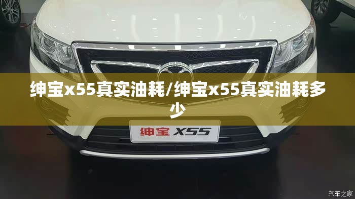 绅宝x55真实油耗/绅宝x55真实油耗多少 绅宝x55真实油耗/绅宝x55真实油耗多少