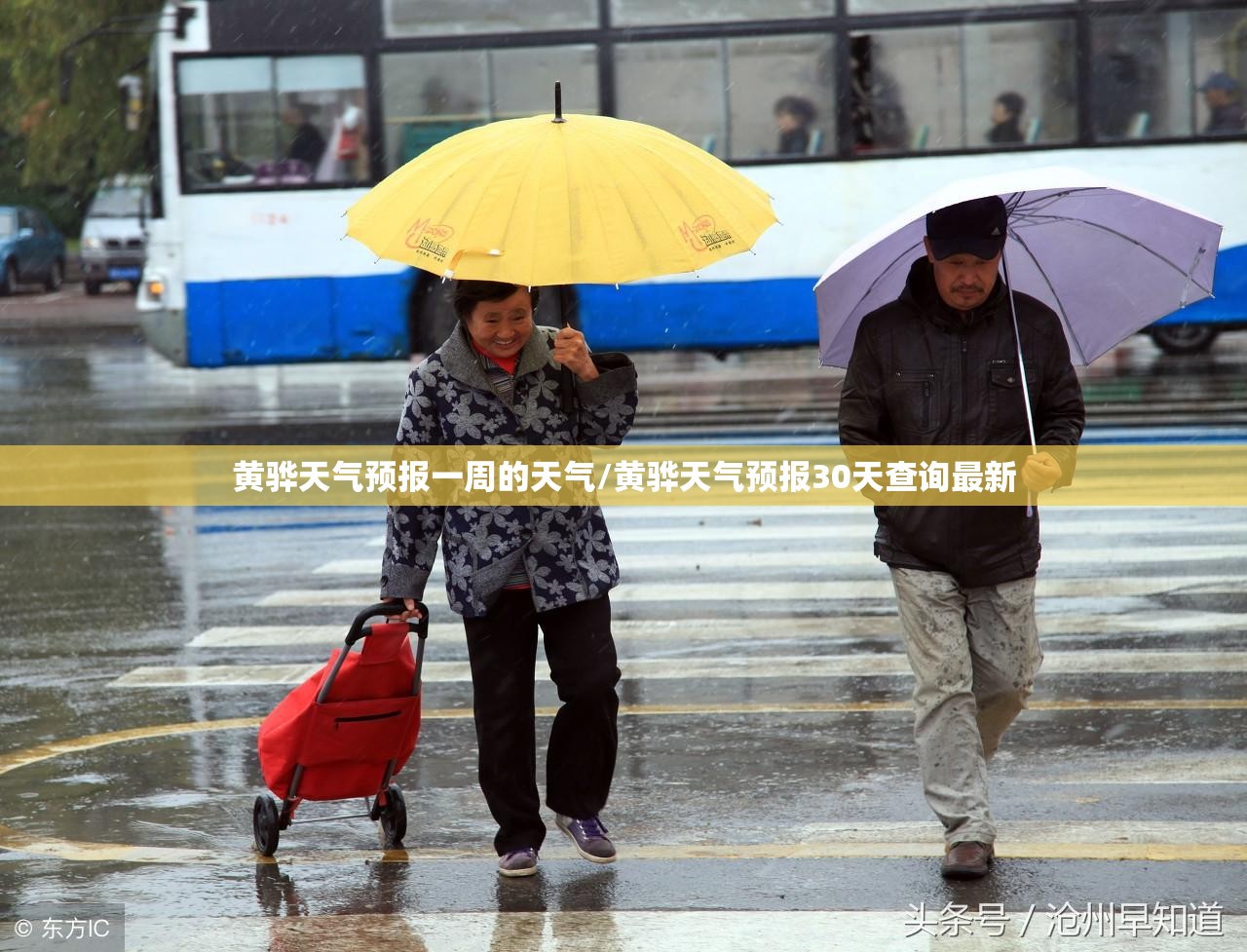 黄骅天气预报一周的天气/黄骅天气预报30天查询最新 黄骅天气预报一周的天气/黄骅天气预报30天查询最新