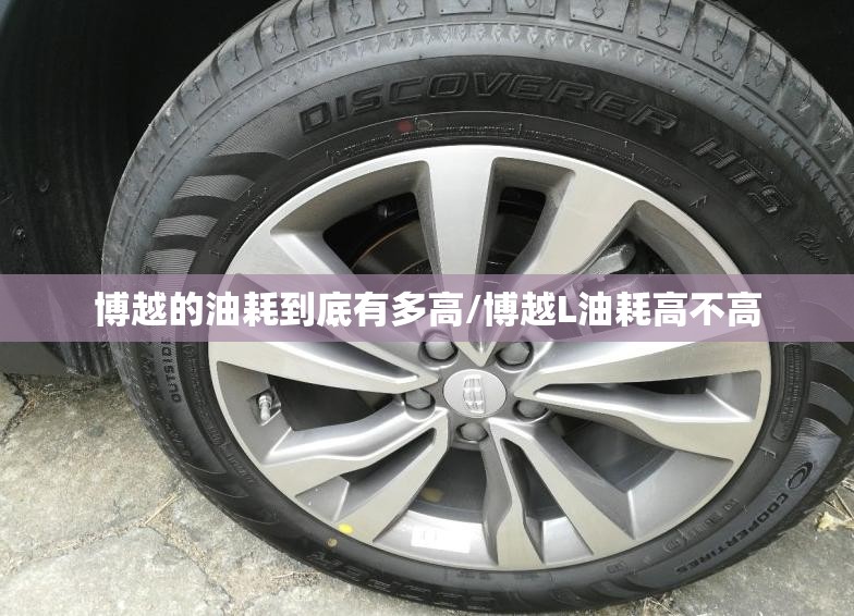 博越的油耗到底有多高/博越L油耗高不高 博越的油耗到底有多高/博越L油耗高不高