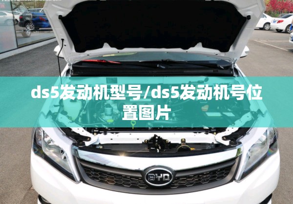 ds5发动机型号/ds5发动机号位置图片 ds5发动机型号/ds5发动机号位置图片