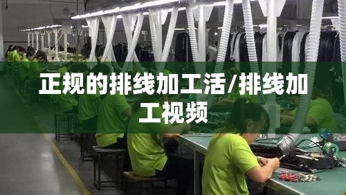 正规的排线加工活/排线加工视频 正规的排线加工活/排线加工视频