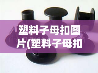 塑料子母扣图片(塑料子母扣怎么解开) 塑料子母扣图片(塑料子母扣怎么解开)