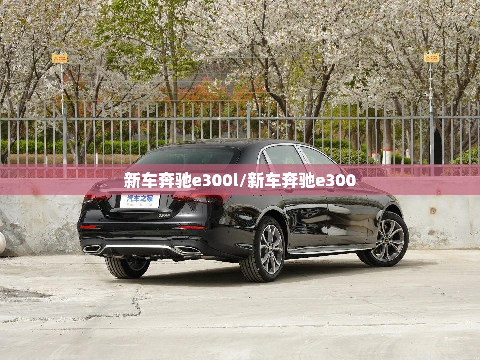 新车奔驰e300l/新车奔驰e300 新车奔驰e300l/新车奔驰e300