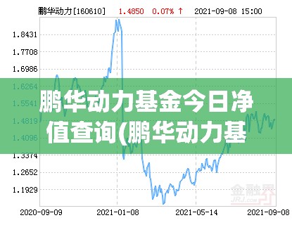 鹏华动力基金今日净值查询(鹏华动力基金净值查询天天基金网) 鹏华动力基金今日净值查询(鹏华动力基金净值查询天天基金网)