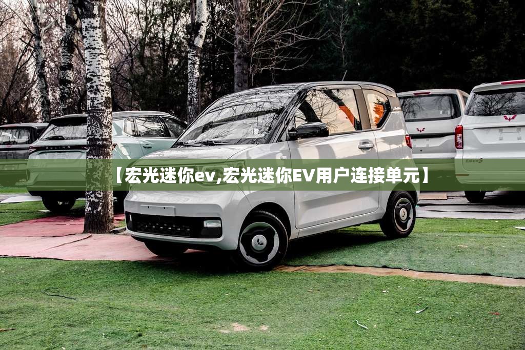 【宏光迷你ev,宏光迷你EV用户连接单元】 【宏光迷你ev,宏光迷你EV用户连接单元】