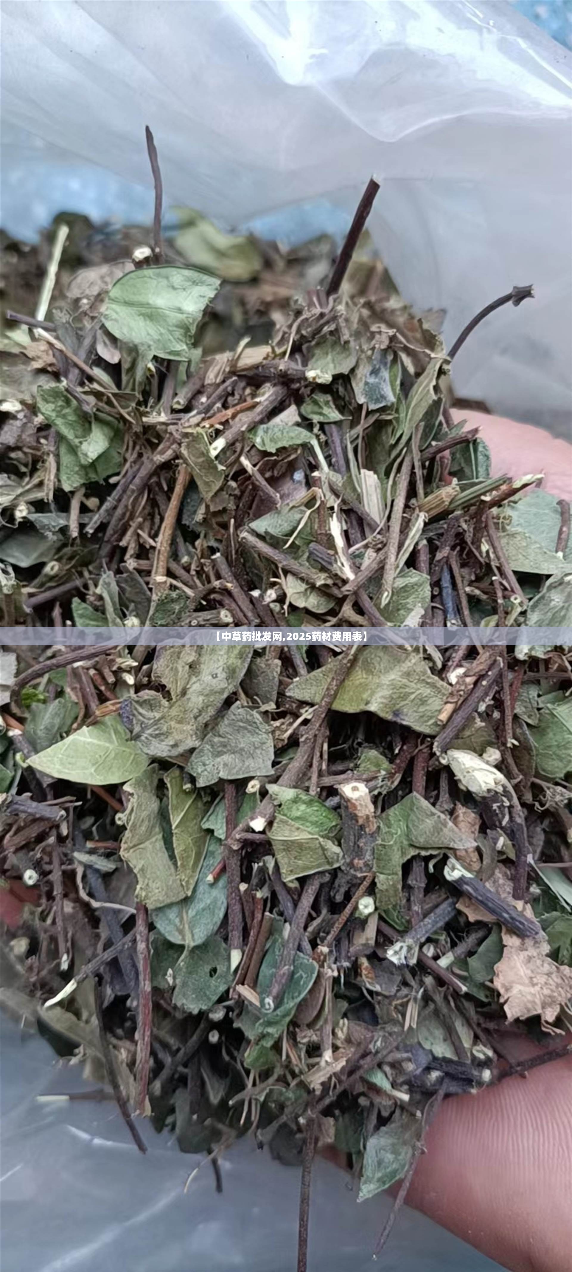 【中草药批发网,2025药材费用表】