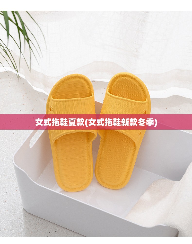 女式拖鞋夏款(女式拖鞋新款冬季) 女式拖鞋夏款(女式拖鞋新款冬季)