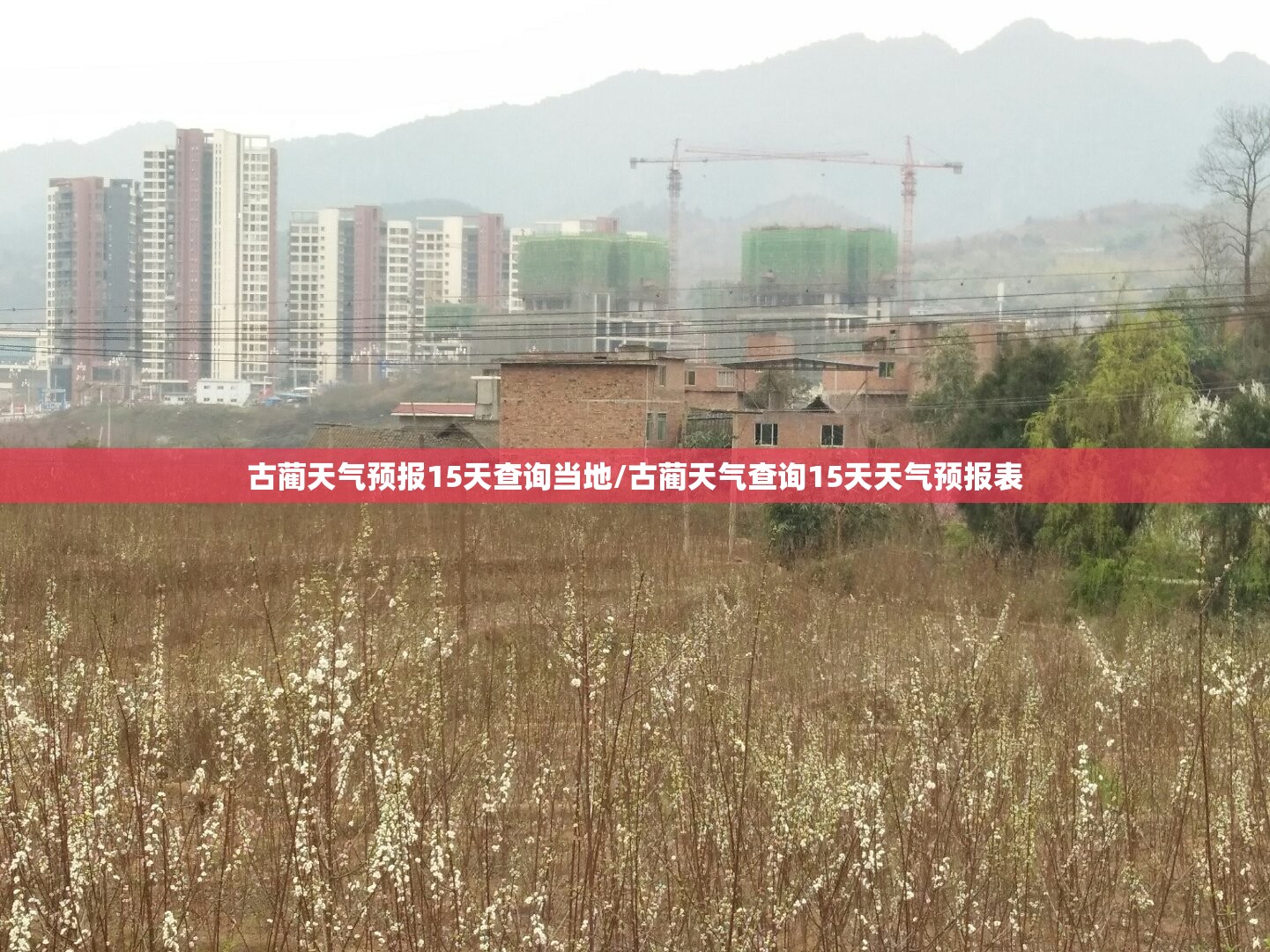 古蔺天气预报15天查询当地/古蔺天气查询15天天气预报表 古蔺天气预报15天查询当地/古蔺天气查询15天天气预报表