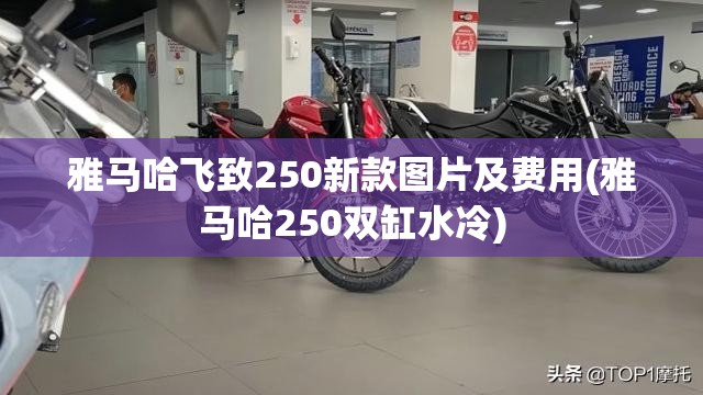 雅马哈飞致250新款图片及费用(雅马哈250双缸水冷) 雅马哈飞致250新款图片及费用(雅马哈250双缸水冷)