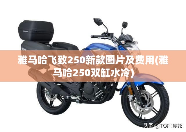 雅马哈飞致250新款图片及费用(雅马哈250双缸水冷) 雅马哈飞致250新款图片及费用(雅马哈250双缸水冷)