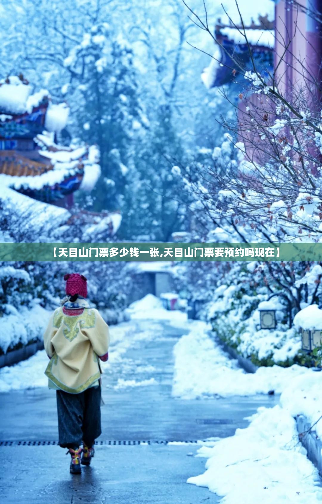 【天目山门票多少钱一张,天目山门票要预约吗现在】