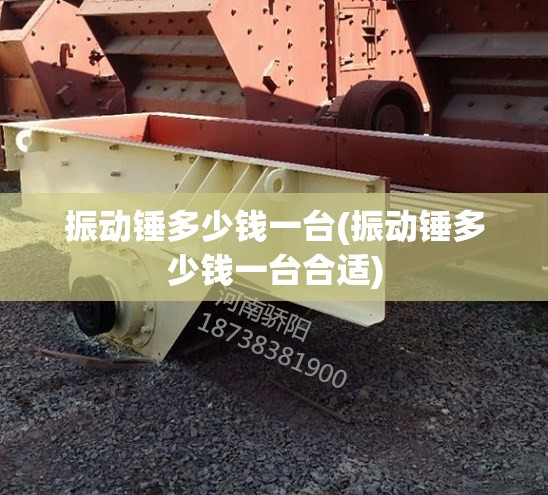 振动锤多少钱一台(振动锤多少钱一台合适) 振动锤多少钱一台(振动锤多少钱一台合适)