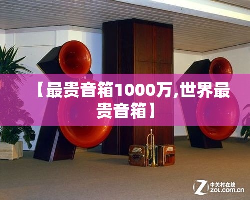 【最贵音箱1000万,世界最贵音箱】 【最贵音箱1000万,世界最贵音箱】