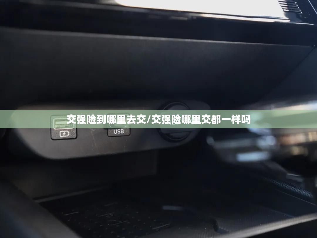 交强险到哪里去交/交强险哪里交都一样吗 交强险到哪里去交/交强险哪里交都一样吗