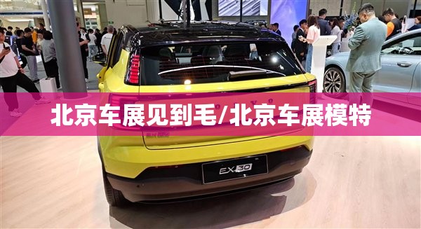 北京车展见到毛/北京车展模特