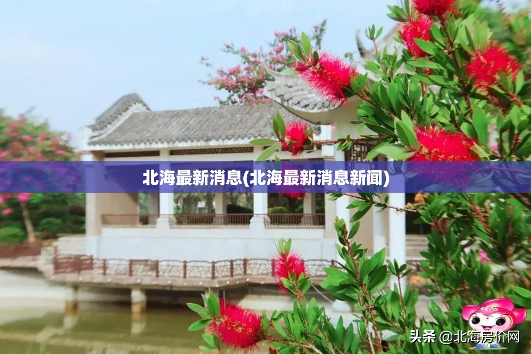 北海最新消息(北海最新消息新闻) 北海最新消息(北海最新消息新闻)