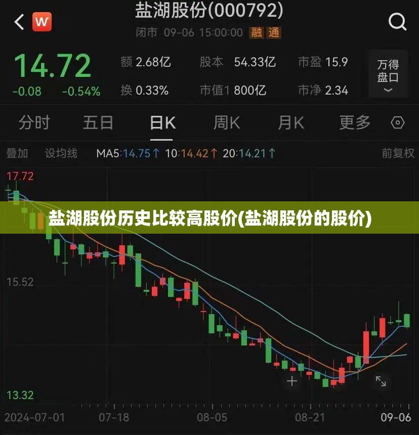 盐湖股份历史比较高股价(盐湖股份的股价)