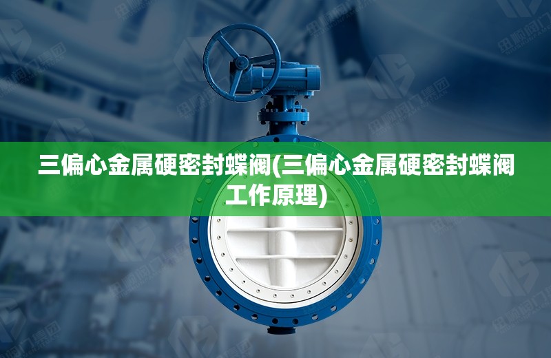 三偏心金属硬密封蝶阀(三偏心金属硬密封蝶阀工作原理) 三偏心金属硬密封蝶阀(三偏心金属硬密封蝶阀工作原理)