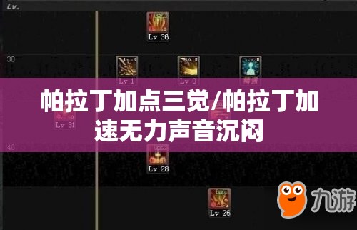 帕拉丁加点三觉/帕拉丁加速无力声音沉闷 帕拉丁加点三觉/帕拉丁加速无力声音沉闷
