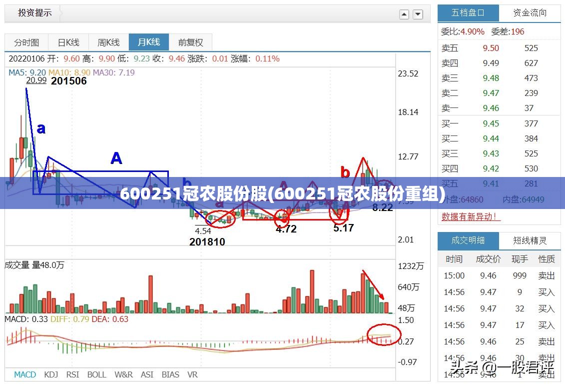 600251冠农股份股(600251冠农股份重组) 600251冠农股份股(600251冠农股份重组)