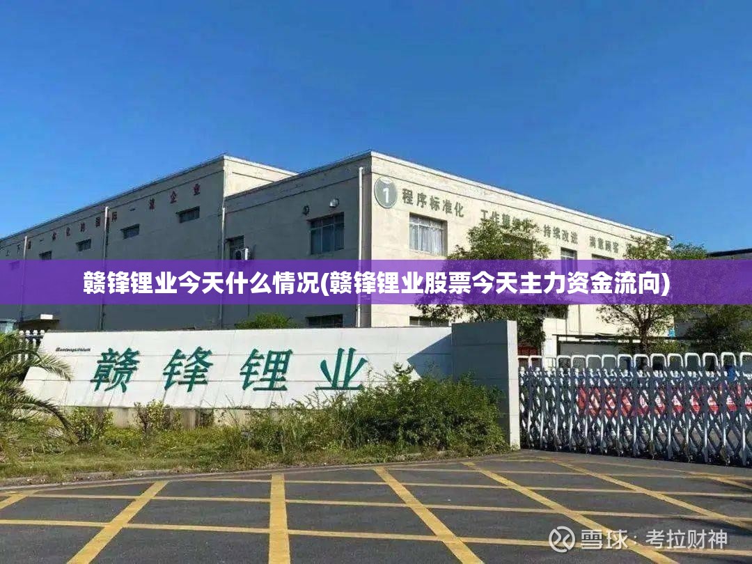 赣锋锂业今天什么情况(赣锋锂业股票今天主力资金流向)