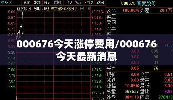 000676今天涨停费用/000676今天最新消息