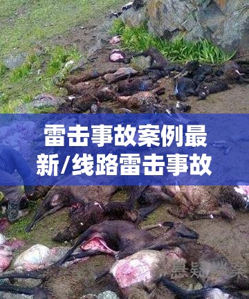 雷击事故案例最新/线路雷击事故案例分析 雷击事故案例最新/线路雷击事故案例分析