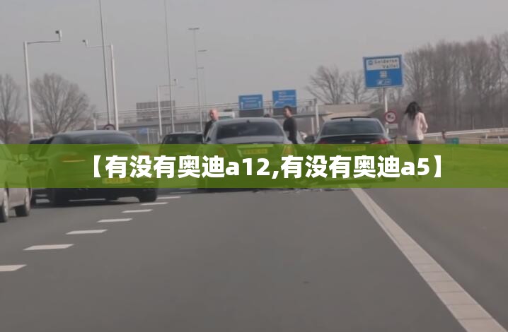 【有没有奥迪a12,有没有奥迪a5】 【有没有奥迪a12,有没有奥迪a5】