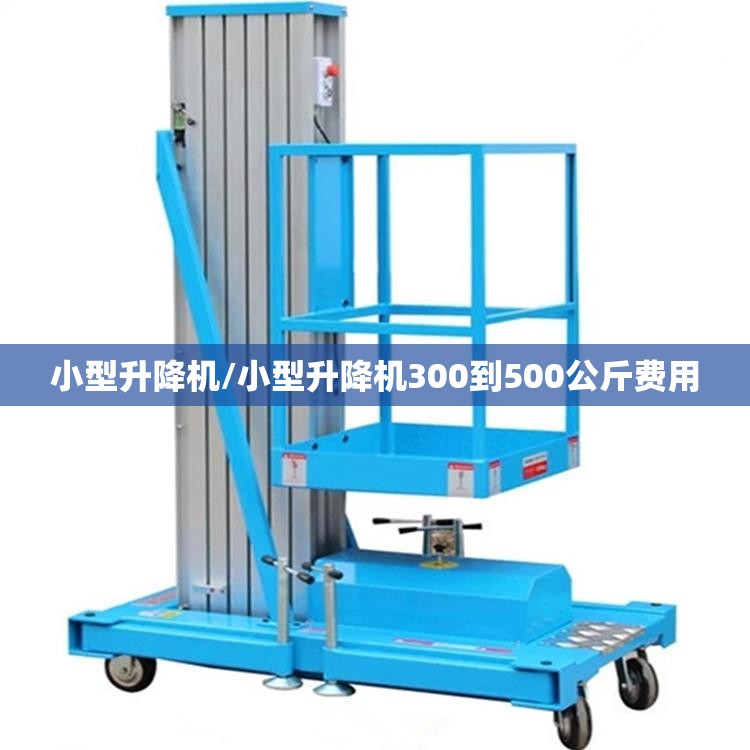 小型升降机/小型升降机300到500公斤费用 小型升降机/小型升降机300到500公斤费用